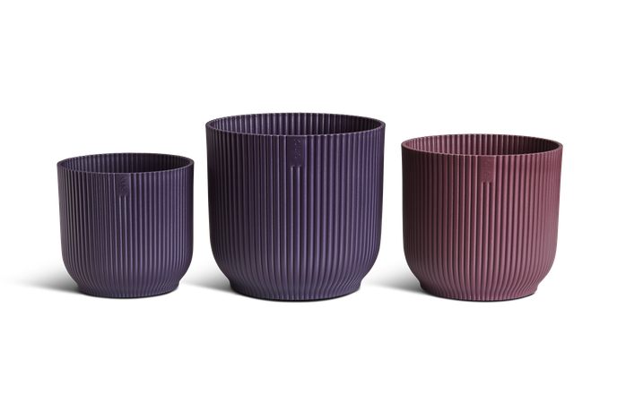 GIFT winery collection 14,16,18 multicolore